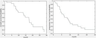 Survival Prediction Analysis in Glioblastoma With Diffusion Kurtosis Imaging